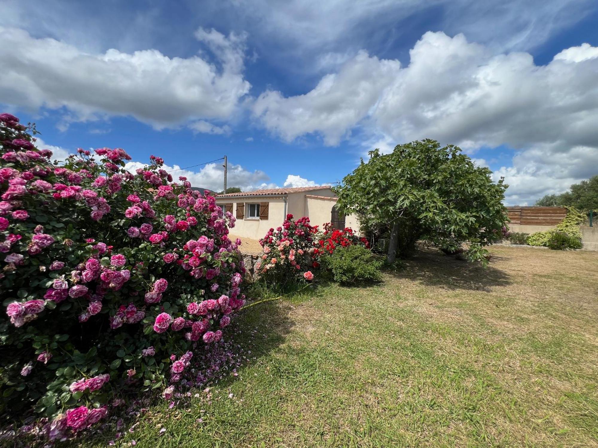 Residence Casa Favalella ポルト・ポロ エクステリア 写真